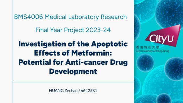 Investigation of the Apoptotic Effects of Metformin